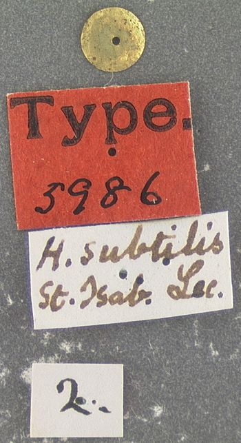 Media type: image;   Entomology 5986 Aspect: labels